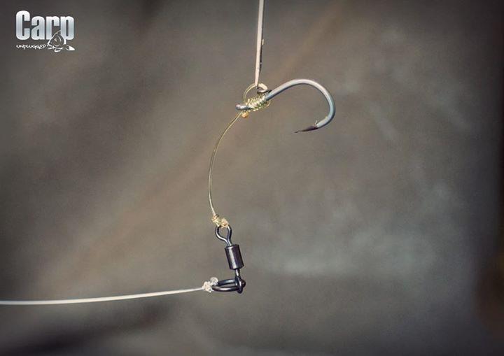 Diverse - img4067777058695.jpeg